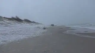 Куршская коса