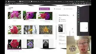 picfair talk and my photos