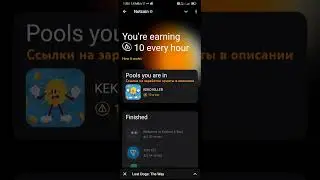 NoT coin фаза 2.0  новый пул