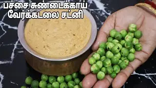 மருத்துவ குணமும் சுவையும் நிறைந்த பச்சை சுண்டைக்காய் வேர்க்கடலை சட்னி-Turkey Berry Peanut Chutney