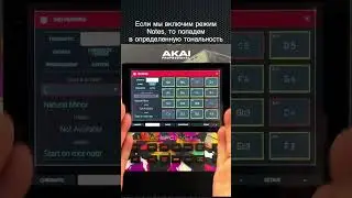 Как играть музыку не зная нот или все о Pad Performance на Akai MPC 