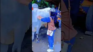SEMANGATMU JANGAN LELAH KAWAN