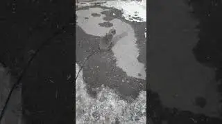Лето почуял.