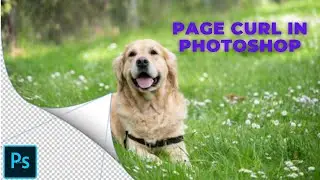 Create a Page Curl Photoshop