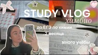 study vlog🙇‍♀️📚до ЕГЭ по химии 2 месяца, ночной бот, продуктивность