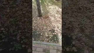 13 сентября 2024 г.