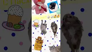 С Пасхой всех!!!😻😻😻#пасха #котики #собачки #уточка #ленивоевидео #пухлыйкотик #котикблогер