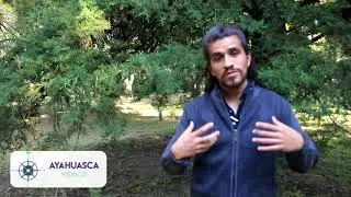 Dejé a mi pareja después de una ceremonia, ¿hice bien?
