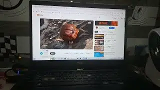 Otokoume has BSOD #7
