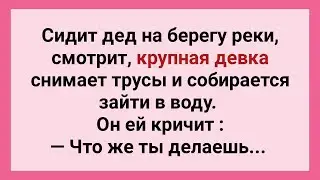 Дед Подглядывает За Крупной Девкой! Подборка Веселых Жизненных анекдотов! Юмор!