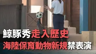 鯨豚秀走入歷史  海陸保育動物新規禁表演【央廣新聞】