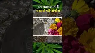 यंहा चढ़ाई जाती है चरस से भरी सिगरेट।