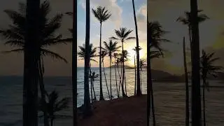 Mirissa Beach, Sri Lanka #srilanka #mirissabeach