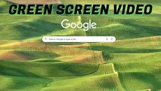 How to Fix Green Screen Videos on Chrome