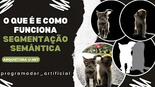 Como Funciona e Como Treinar Segmentação Semântica