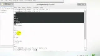 Linux Command Line  16  Redirecting and Piping