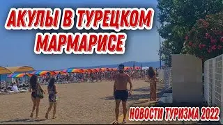 ТУРИСТЫ В ПАНИКЕ. УВЕРЯЮТ ЧТО ВИДЕЛИ АКУЛУ У БЕРЕГА В ТУРЕЦКОМ МАРМАРИСЕ.