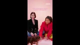 Have you watched the Emily In Paris Cast Puppy Interview yet? 🥐 🇫🇷 #EmilyInParis