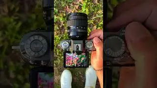 Examples from Fujifilm X-T50 and Fuji 16-50mm lens