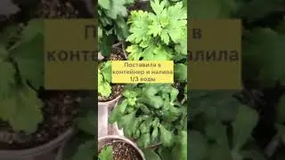 5 февраля 2024 г.