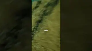 People With The Worst Luck In The World