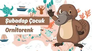 Ornitorenk | Şubadap Çocuk