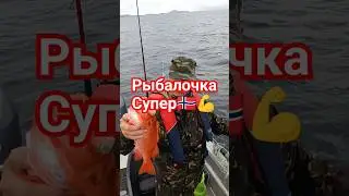 Норвегия рулит, ловля Красного Окуня