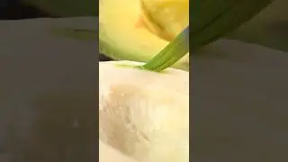 Did You Guess Right?