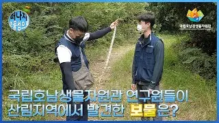 [떠나자 보물섬으로]👉 보물찾기 위험주의! 뱀이 왜 이렇게 많이 나오는 거야!?👈| 동물자원연구부 | 생물의 다양성 | 보물섬 | 탐사 | 모험 | 미션 | ep.02