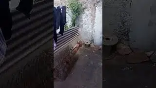 20 de dezembro de 2023