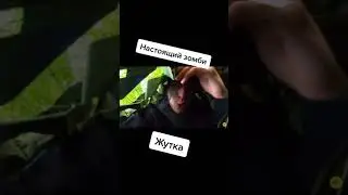 😱А4 ПРЯЧЕТСЯ ОТ ЗОМБИ!!! 