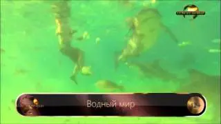 Водный мир