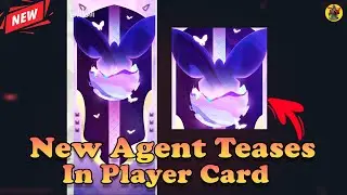 Valorant New Agent Teases In Player Card | Valorant Agent 25 | Valorant Updates | 