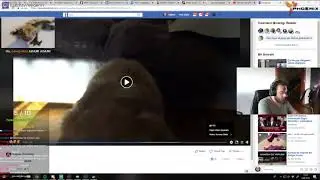 Elraenn Kaybettiği Köpeğinin Hikayesini Anlatıyor