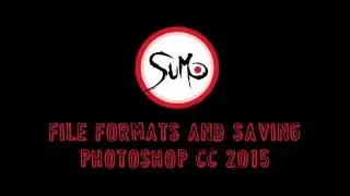 Photoshop File Formats 101