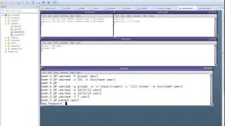 Solaris 10 User Group Account Management