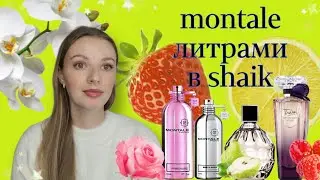 литр montale от shaik вкусняшки и распаковка lancome tresor midnight rose сравнение с shaik версией