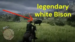 Is Hunting Legendary Bison REALLY Worth It?