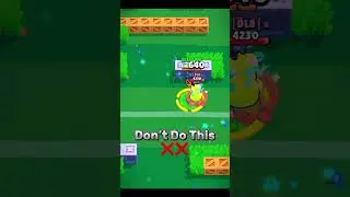 Rank 30 Crow Guide 🐦‍⬛