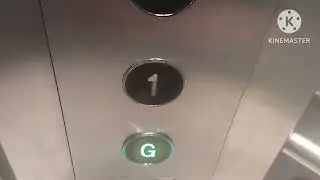 Crown lift @ Zara in Bournemouth