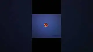 | Кручу Бесплатные Тикеты Коф 😎 | В мобайл легенд | Что мне выпало? |Чтоо? 🤩Эпический скин? 😱 