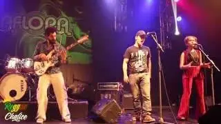 Aflora - Rocksteady