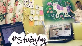 StudyVlog:Готовимся к ЕГЭ по русскому и Рисуем на стене Единорога
