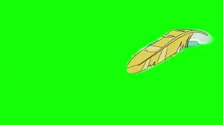 Golden Feather Floating Animation Green Screen. Free to Use.