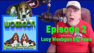 Lucy Woebgon Big Paws and more about Basset Hounds - WOEBGON the Basset Hound Podcast Episode 2