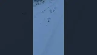едет хорошо