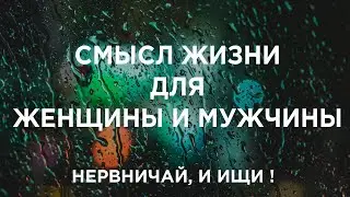 #Смыслжизни Смысл жизни для мужчины и женщины, предназначение