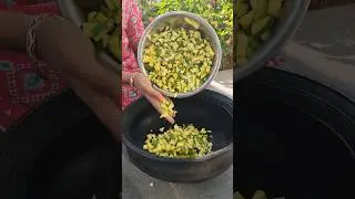 நாவூறும் சுவையில் மாங்காய் ஊறுகாய் | Raw Mango Pickle | 