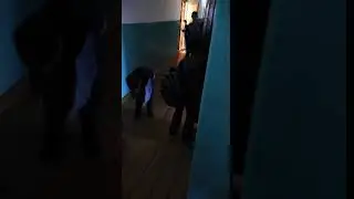 Рамиль гаргамель