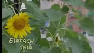 Einfach